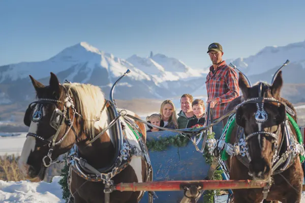 horse, mountainous landforms, bridle, working animal, halter, horse tack