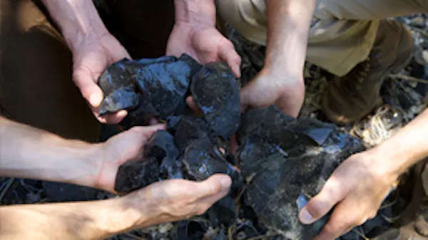 finger, thumb, bird, soil, sharing, plant