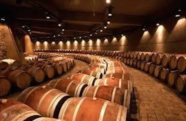 barrel, winery, wine cellar, design, hall