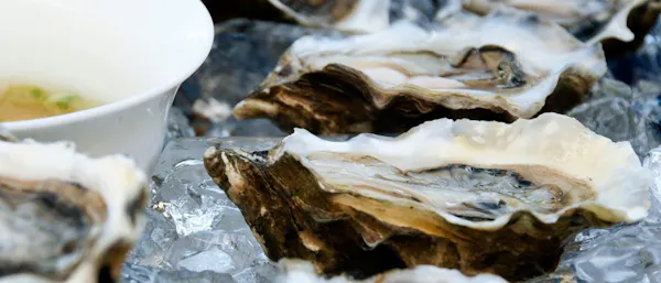oyster, seafood, food, bivalvia, shellfish, ingredient