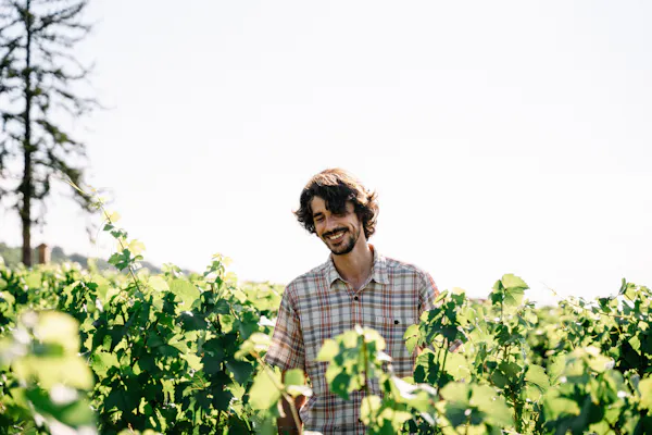 summer, agriculture, people in nature, plantation, beard, facial hair