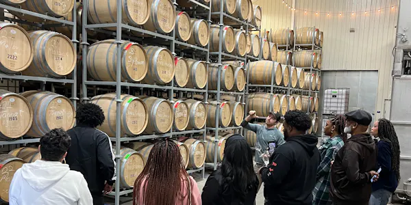 barrel, outerwear, winery, wine cellar, drink, mass production