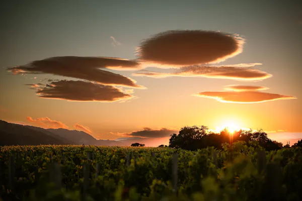 cloud, sky, atmosphere, daytime, plant, nature