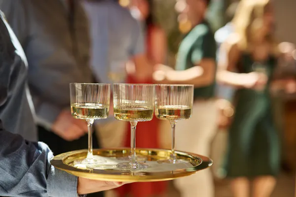 stemware, tableware, drinkware, barware, wine glass, glass