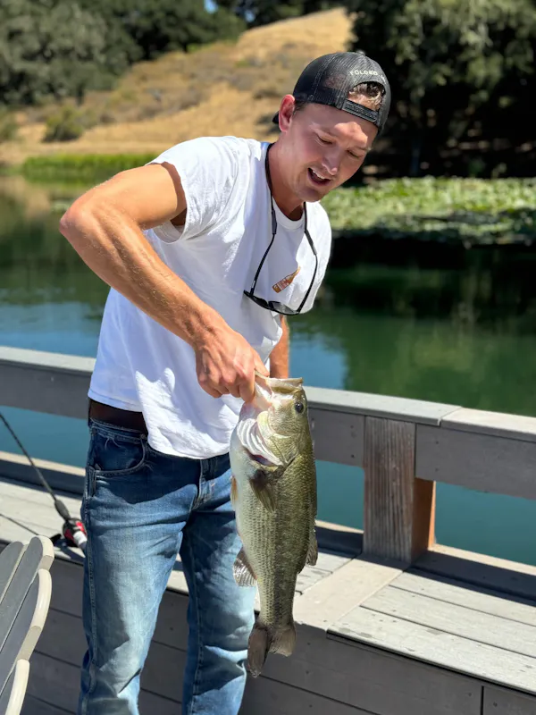 fish, fisherman, fishing, recreation, recreational fishing, lake