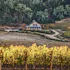 Refugio Ranch Vineyards