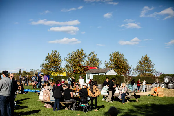 grass, event, recreation, public space, community, leisure