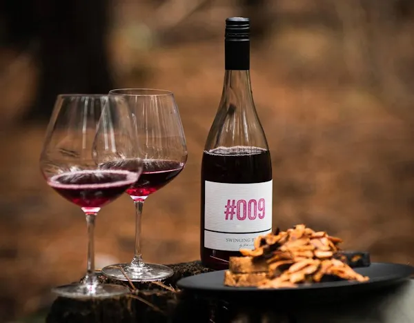 bottle, alcoholic drink, glass bottle, alcohol, wine bottle, liquid