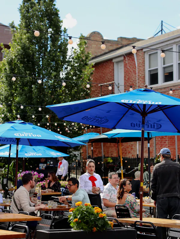 umbrella, furniture, public space, table, chair, crowd
