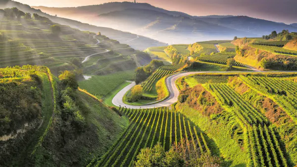 natural landscape, highland, hill, agriculture, plantation, hill station