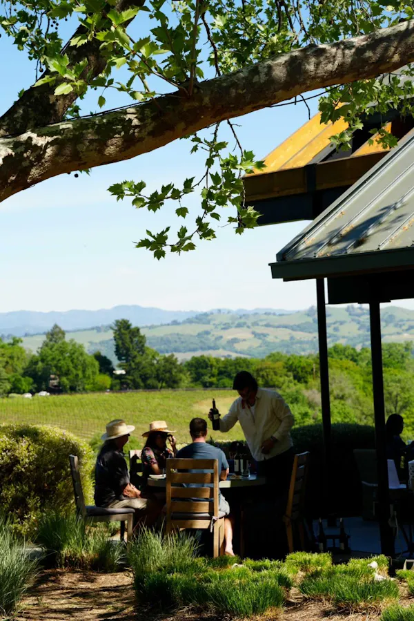 recreation, shade, leisure, people in nature, spring, outdoor furniture