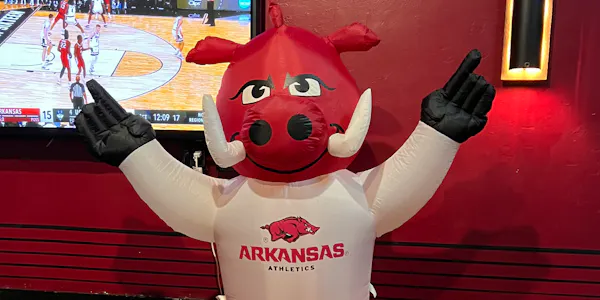 mascot, logo, costume