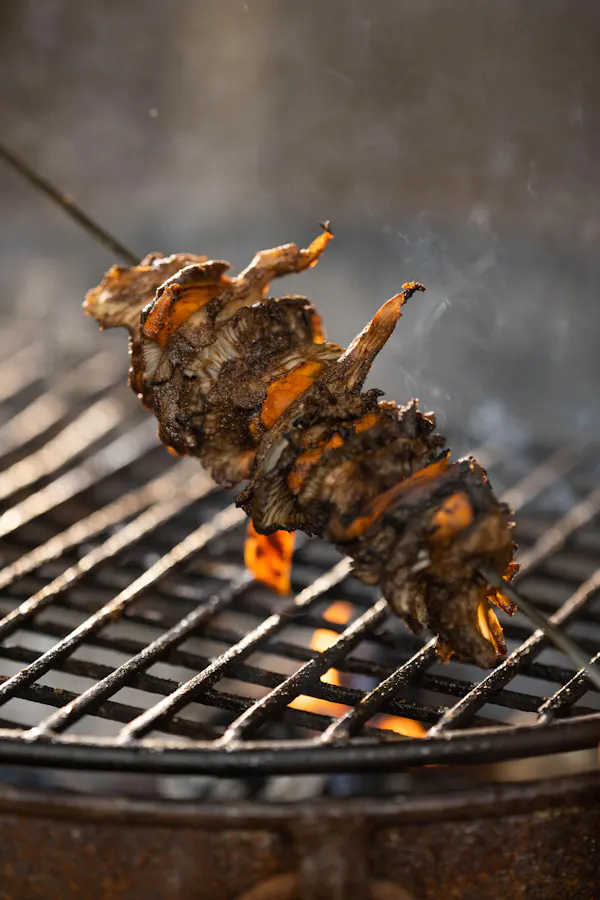 roasting, grilling, meat, food, barbecue, cooking