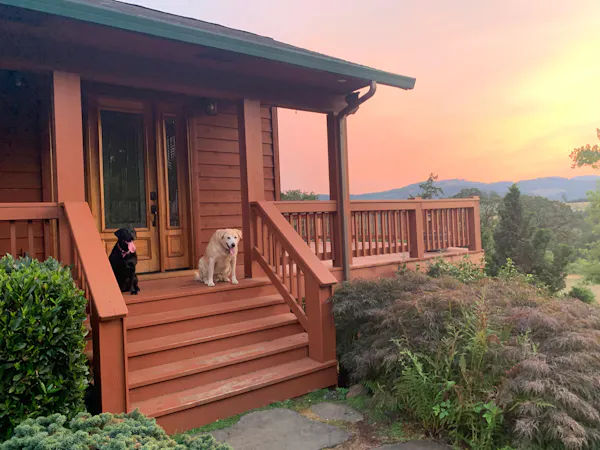 wood, porch, leisure, hardwood, wood stain, deck