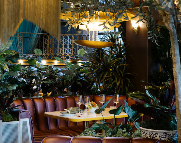 fruit, restaurant, design, chair