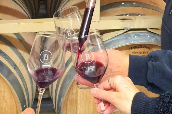 alcoholic drink, wine, stemware, drinkware, red wine, dessert wine