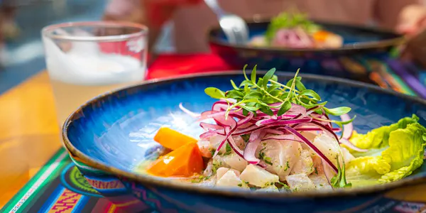 food, tableware, ingredient, salad, vegetable, dishware