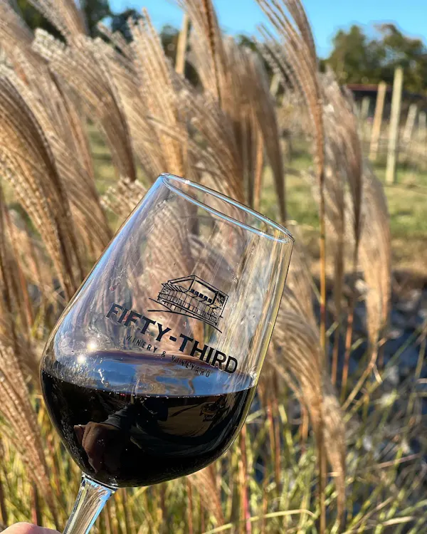drinkware, plant, stemware, wine, wine glass, barware