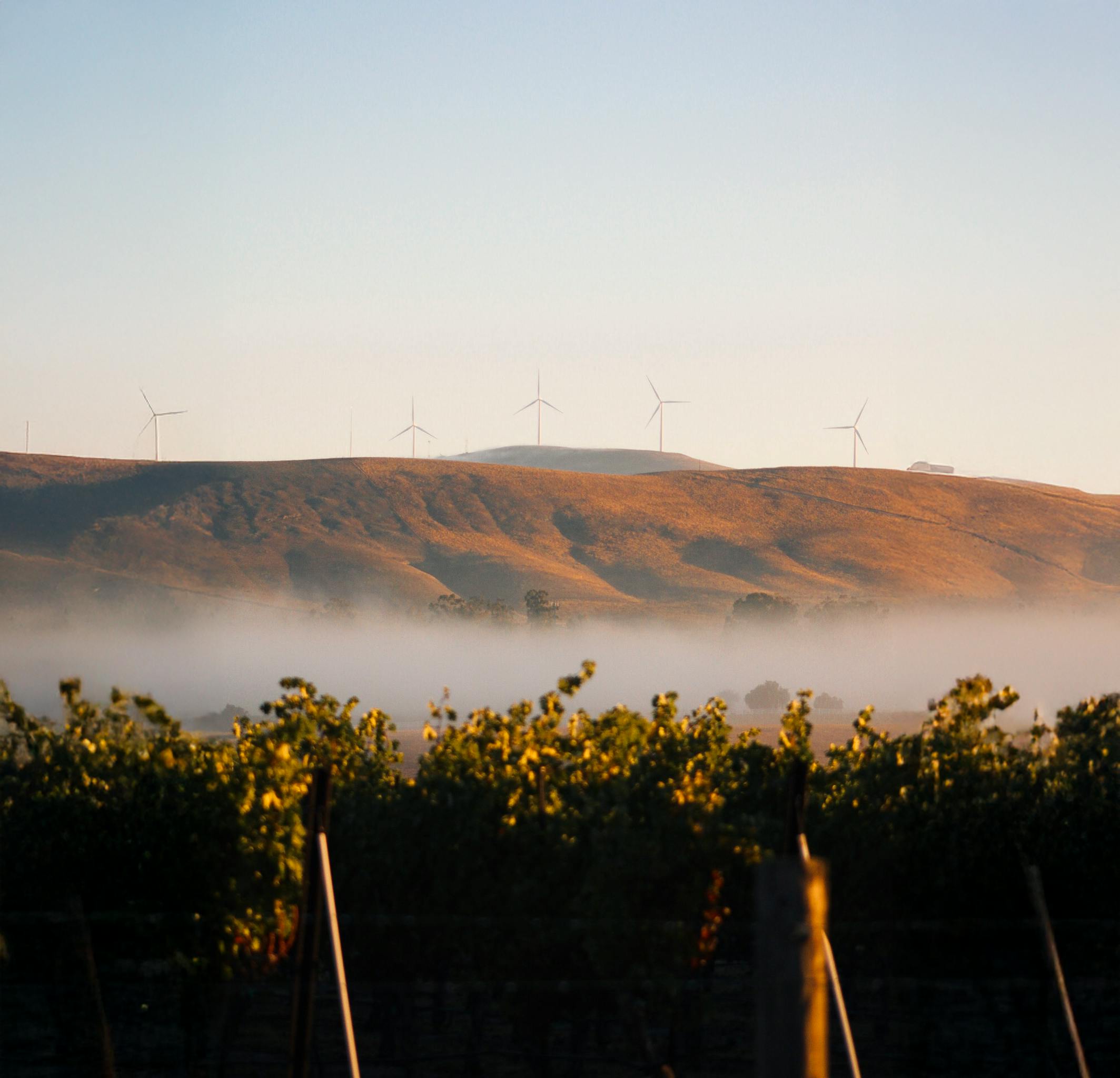 3 Steves Winery