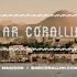 Bar Corallini