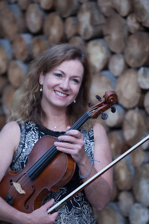 violin family, string instrument, chordophone, fiddle, violinist, violin