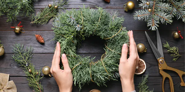 conifers, christmas decoration, pine family, wreath