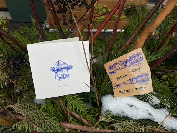 paper, paper product, conifers