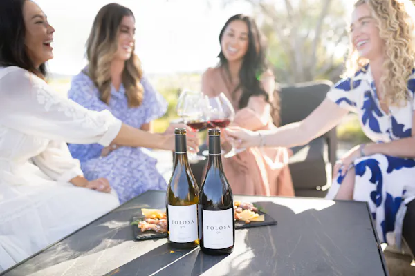 smile, table, bottle, product, wine, happy