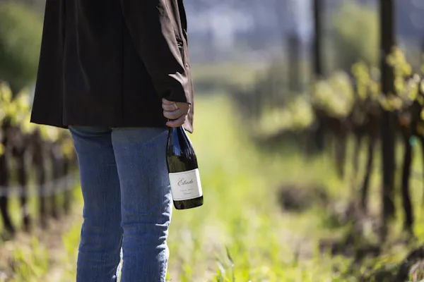 bottle, alcoholic drink, wine bottle, glass bottle, wine, alcohol