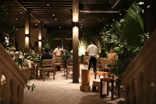 furniture, chair, restaurant, ceiling, houseplant, shade