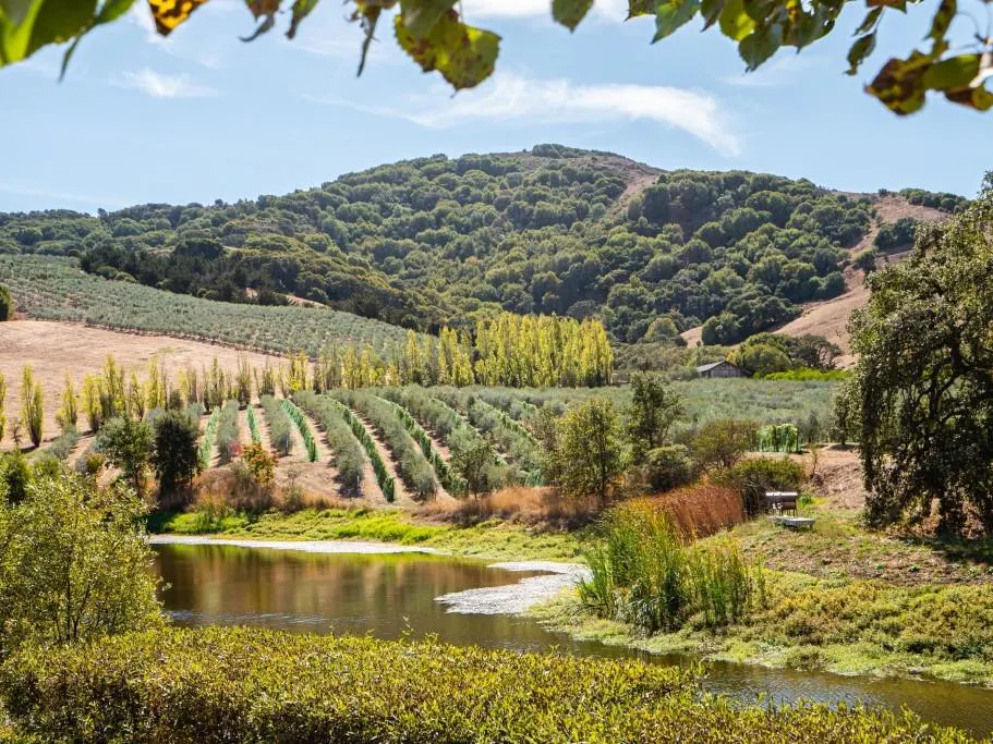 McEvoy Ranch - Scenic Cart Tour - $95 per Person - Petaluma, CA | Tock
