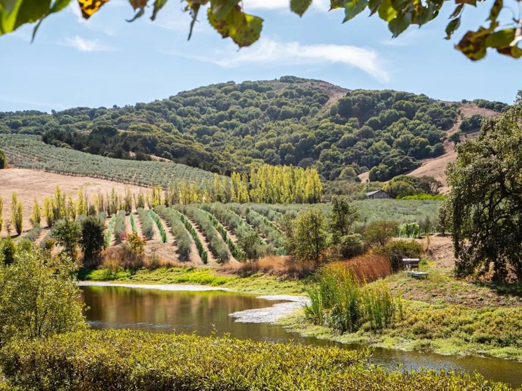 McEvoy Ranch - Petaluma, CA | Tock