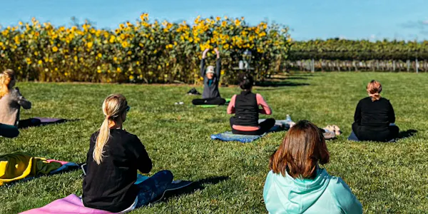 exercise, yoga, physical fitness, leisure, recreation, people in nature