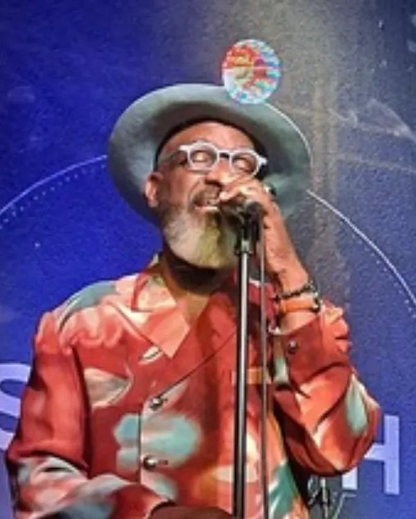 audio equipment, performing arts, entertainment, performance, hat, electronic device