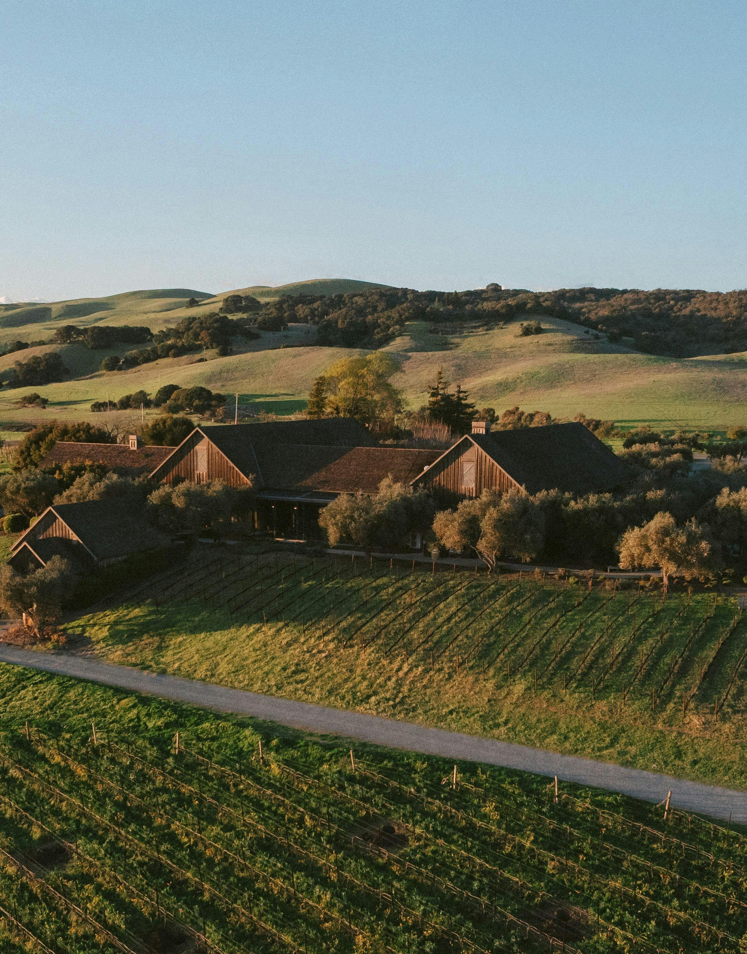 Ram's Gate Winery