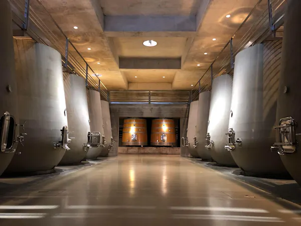 flooring, floor, ceiling, winery, barrel, light fixture