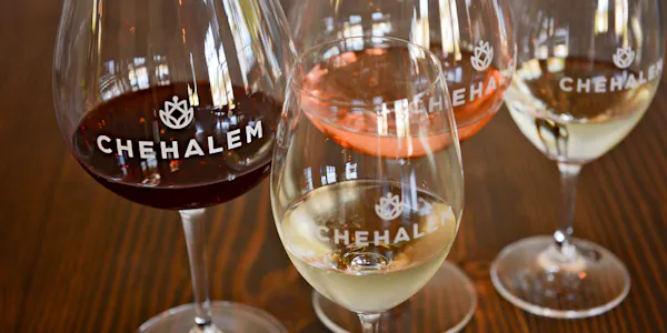 liquid, stemware, alcoholic drink, barware, alcohol, drinkware