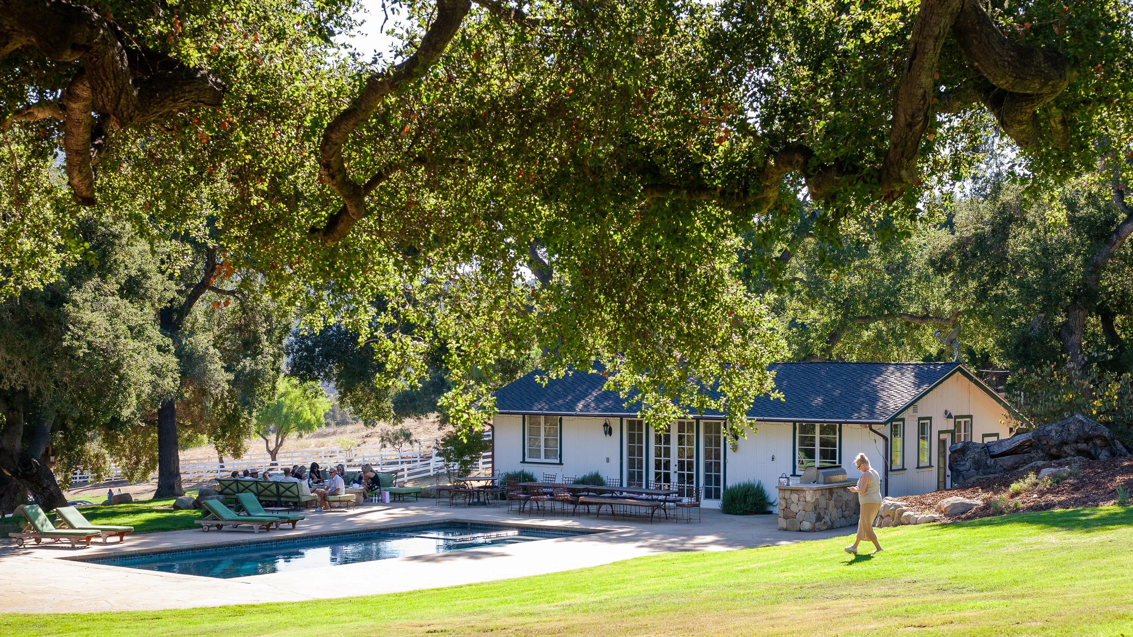 tree, leisure, garden, shade, cottage, lawn