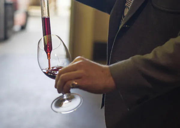 stemware, drinkware, alcoholic drink, wine glass, tableware, alcohol
