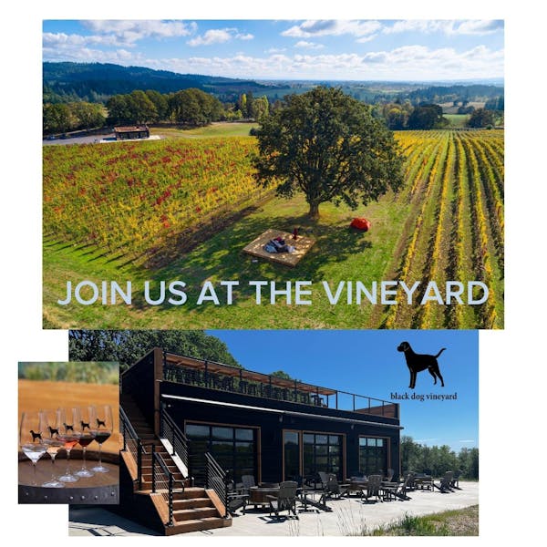 Black Dog Vineyard Carlton, OR Tock