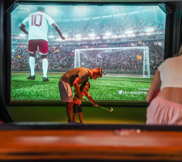 sports equipment, player, grass, flat panel display, fan, competition event