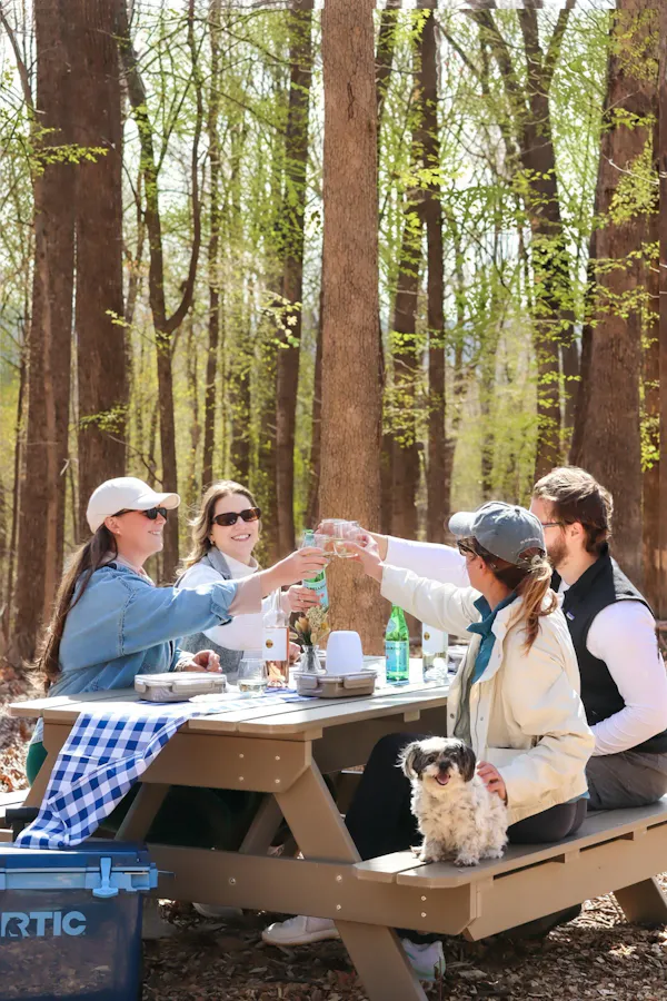recreation, furniture, picnic table, table, outdoor furniture, outdoor table