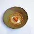 ROOP Chicago
