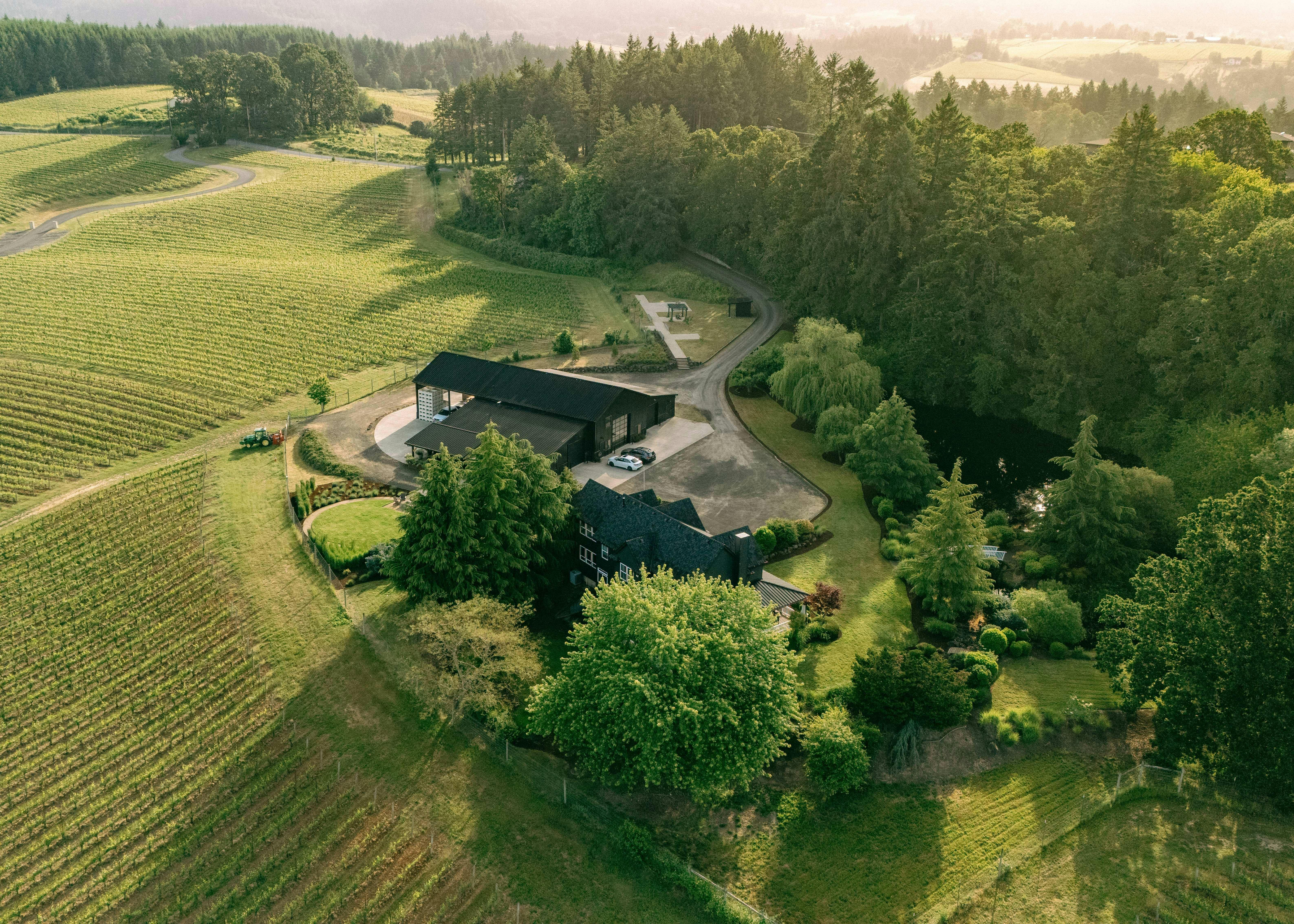 Norris Wines