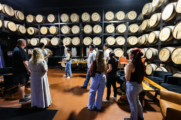 barrel, winery, wine cellar, mass production