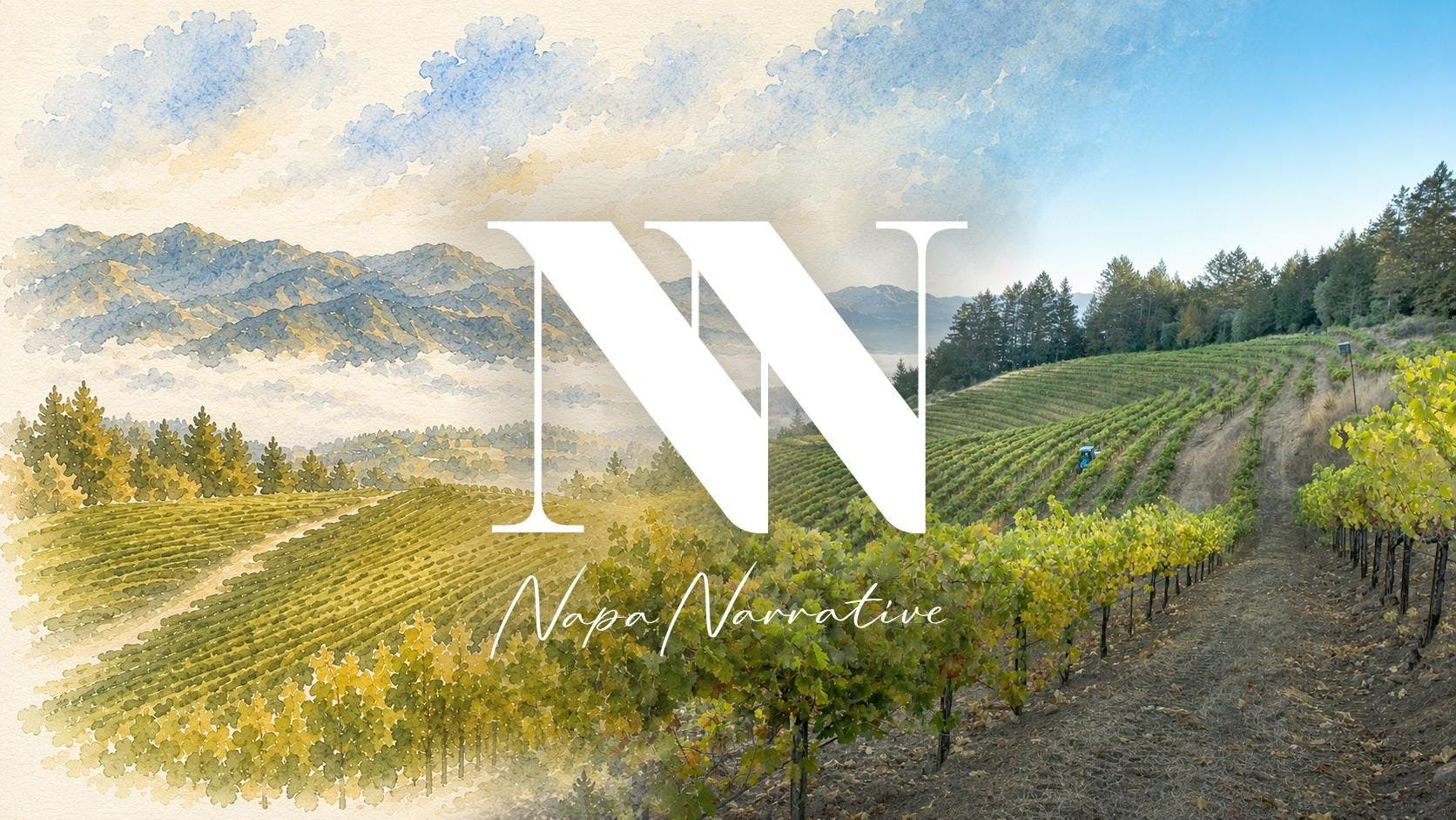 Napa Narrative