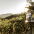 Rutherford Hill Winery