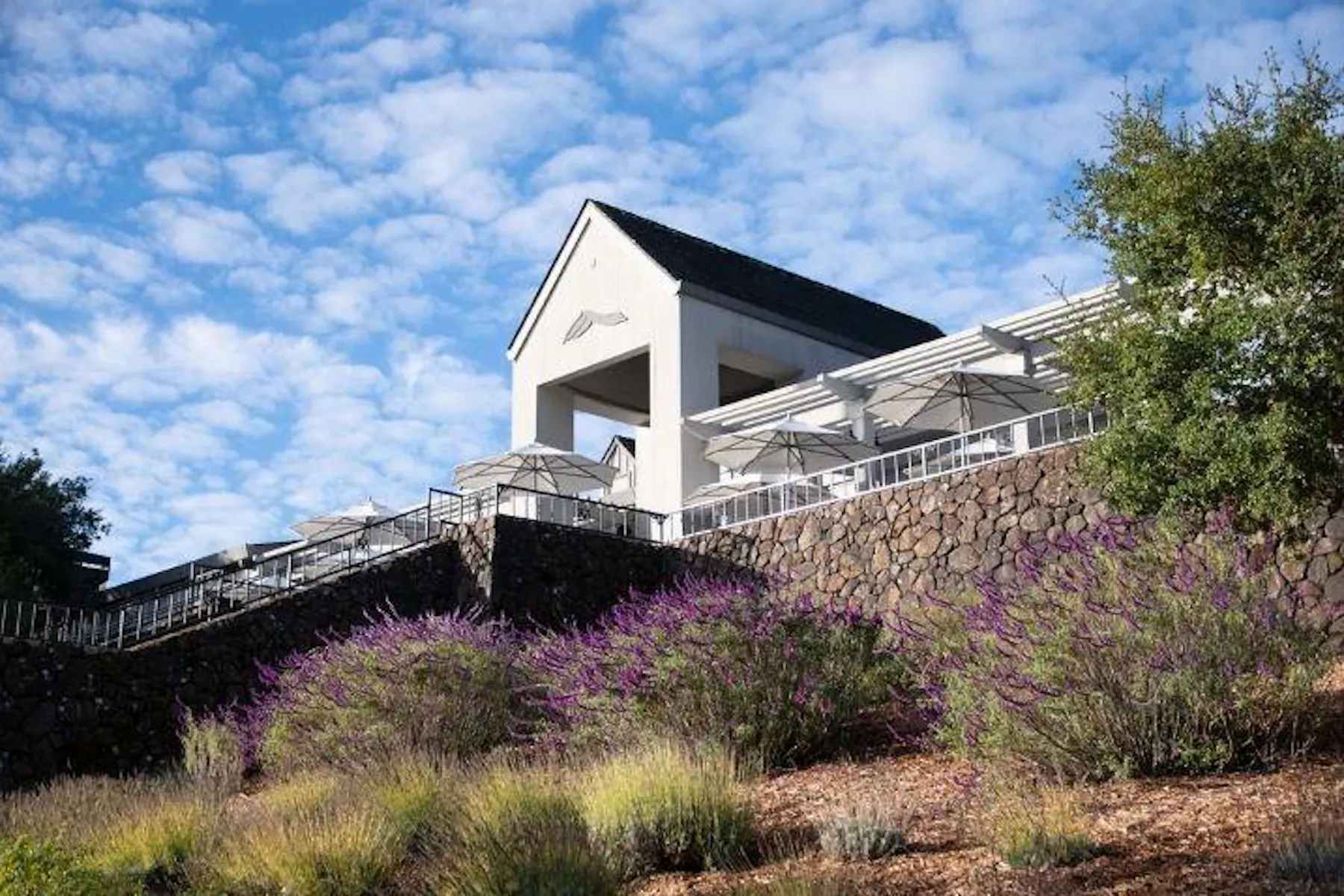 Chalk Hill Winery - Healdsburg, CA | Tock