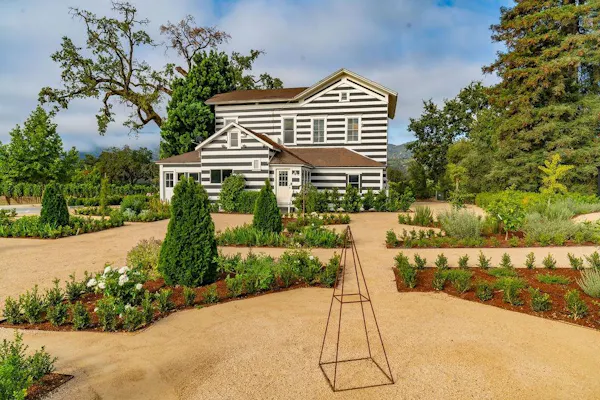 plants, shrub, garden, home, house, land lot
