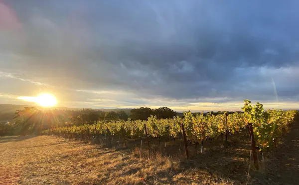 cloud, sky, natural landscape, plant, sunlight, cumulus